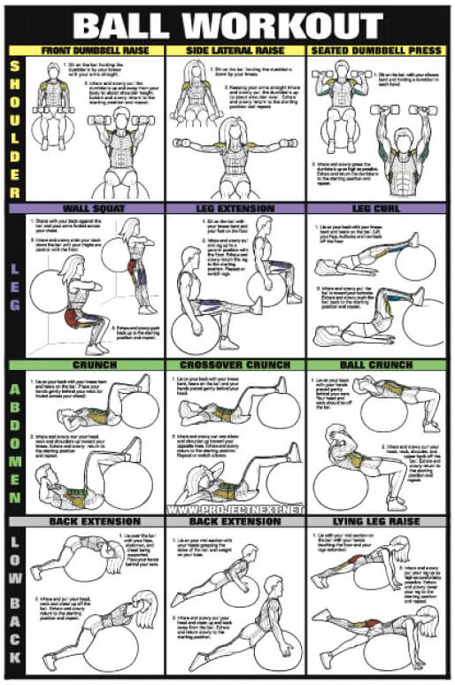 Shoulder Workout Chart Hd